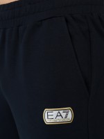Брюки мужские Train Lux Pants EA7 Emporio Armani