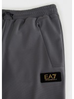 Брюки мужские Pantaloni EA7