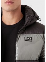 Куртка мужская Ardor7 Regular EA7