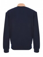Толстовка мужская Sweatshirt EA7