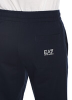 Брюки мужские EA7