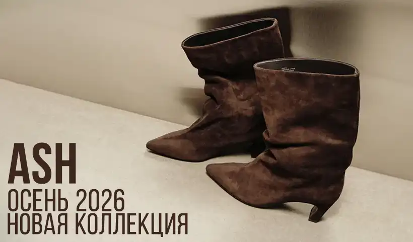 ASH: новые акценты сезона